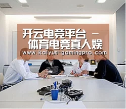 研发能力标题二