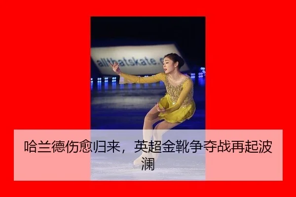 ha-lan-de-shang-yu-gui-lai-ying-chao-jin-xue-zheng-duo-zhan-zai-qi-bo-lan-3-711.jpg