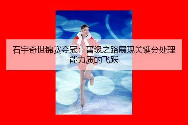 shi-yu-qi-shi-jin-sai-duo-guan-jin-ji-zhi-lu-zhan-xian-guan-jian-fen-chu-li-neng-li-zhi-di-fei-yue-3-333.jpg