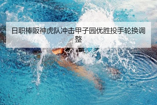 ri-zhi-bang-ban-shen-hu-dui-chong-ji-jia-zi-yuan-you-sheng-tou-shou-lun-huan-tiao-zheng-2-237.jpg