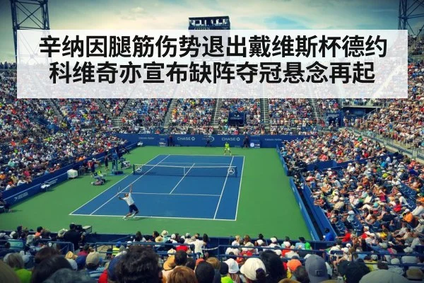 辛纳因腿筋伤势退出戴维斯杯德约科维奇亦宣布缺阵夺冠悬念再起