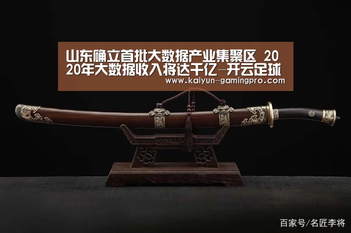 山东确立首批大数据产业集聚区 2020年大数据收入将达千亿-